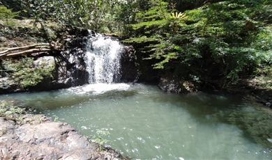 Land for Sale in Panama City Panamá Province 07019